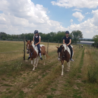 PHOTO-2020-07-18-20-49-49 (22).jpg